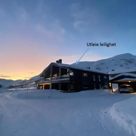 Modern Spacious And Beautiful View Perfect For Exploring Mountains And Fjords *